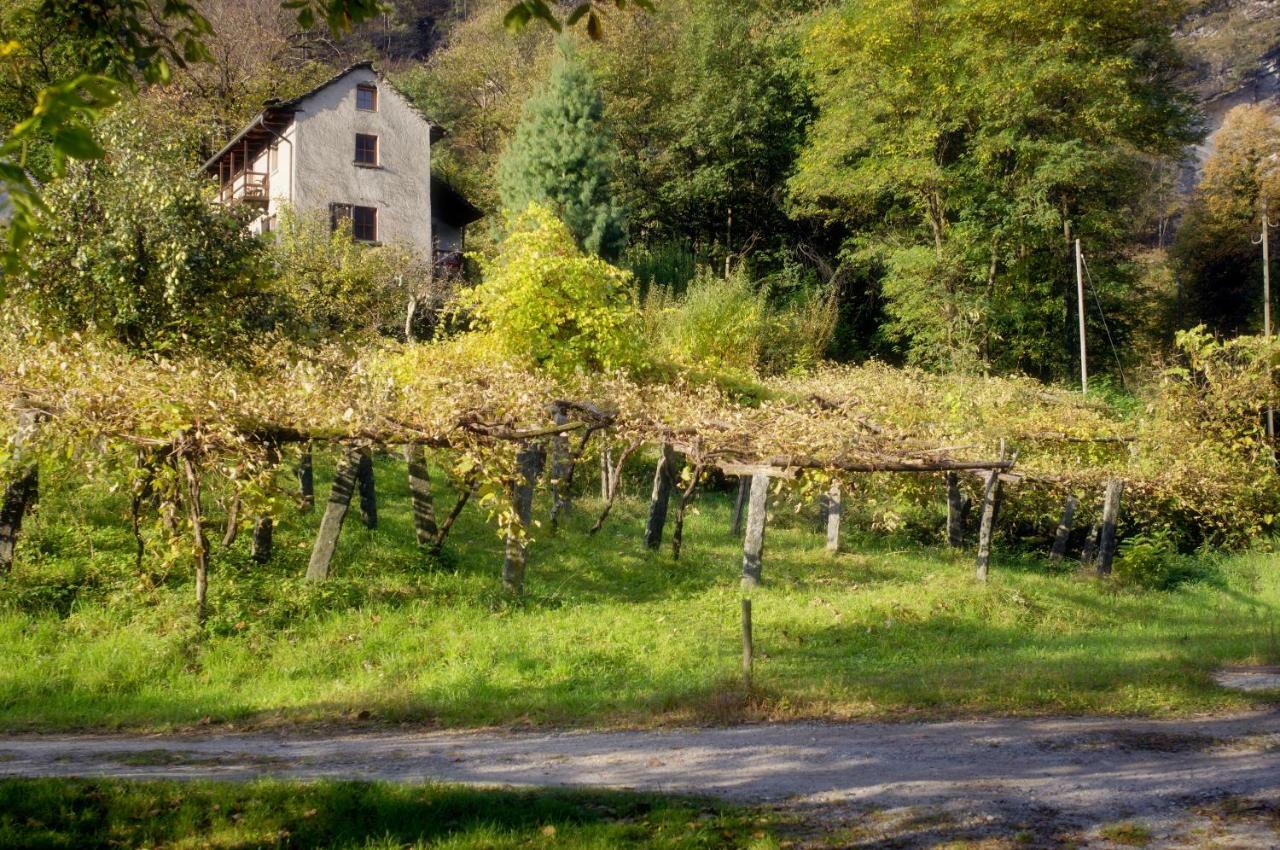 Pensione Boschetto Cevio Esterno foto